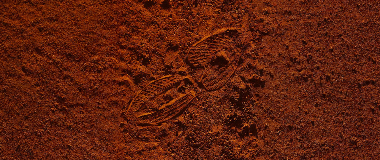 The History of the Nike Alphafly
