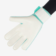 Nike Match GK Gloves