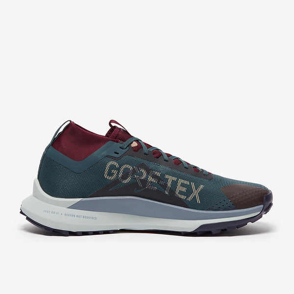 Nike Pegasus Trail 4 GORE-TEX