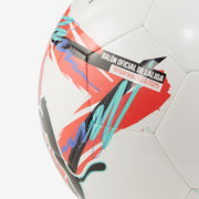 Puma Orbita LaLiga 1 24/25 MS Football