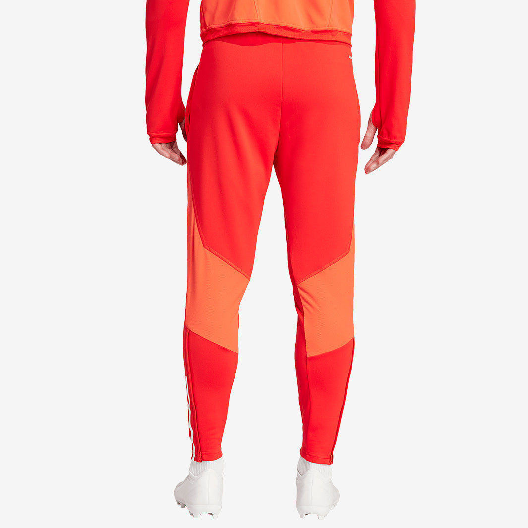 adidas Bayern Munich 23/24 Training Pant