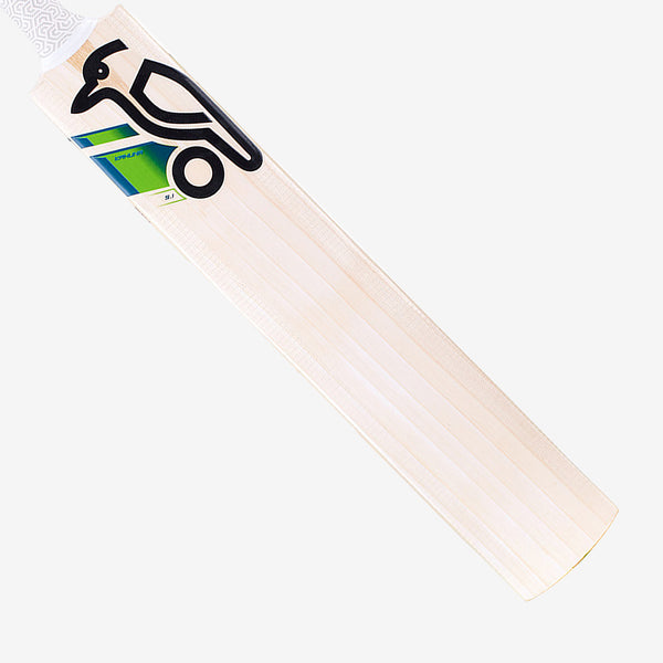Gallery_3