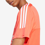 Gallery_3