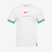 Nike Nigeria 2024 Dri-FIT ADV Match SS Home Shirt