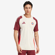 adidas Bayern Munich 24/25 European Training Shirt