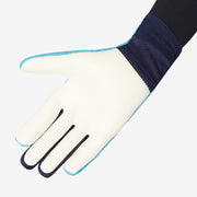 Nike Dynamic Fit GK Gloves