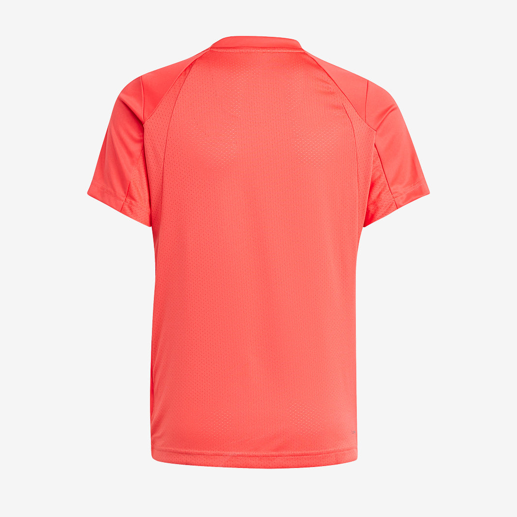 Gallery_1