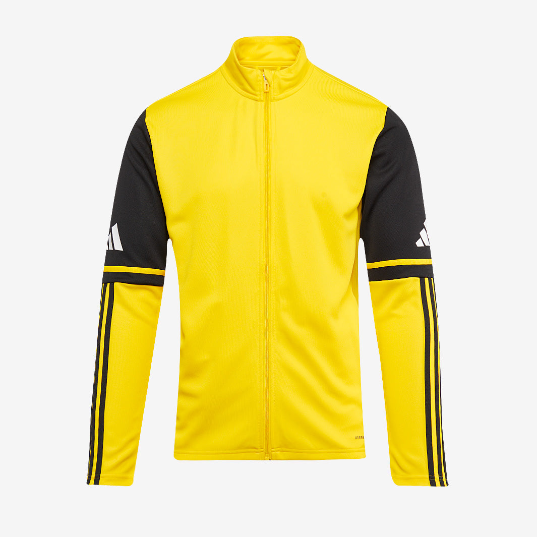 Main