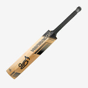 Main