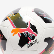 Gallery_1