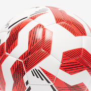 Gallery_1
