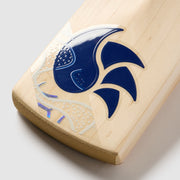 GALLERY_5