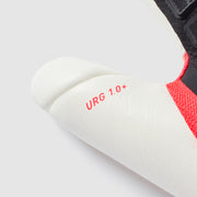 Gallery_3