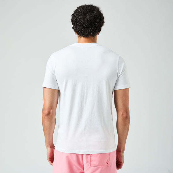 GALLERY_2