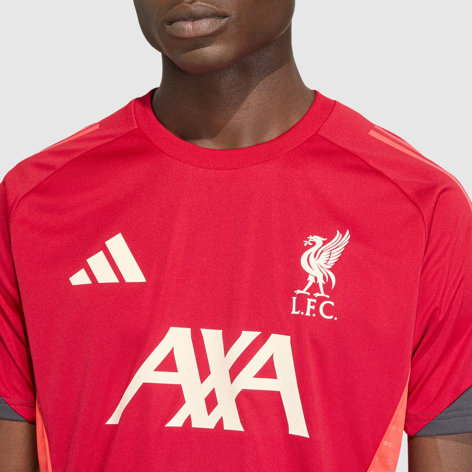 adidas Liverpool 25/26 Training Shirt - Strawberry Red - Mens Replica