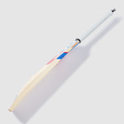 Gallery_1