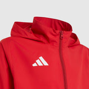 GALLERY_2