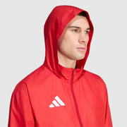 GALLERY_5