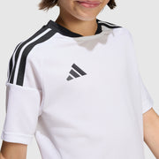 GALLERY_5