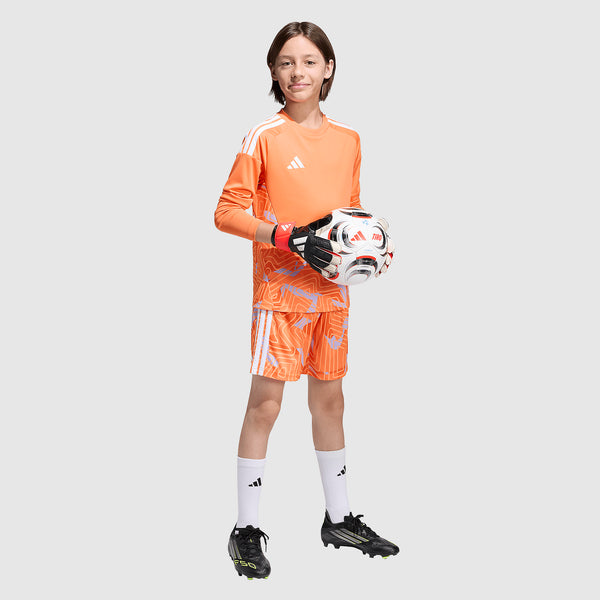 GALLERY_2