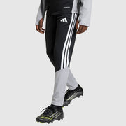 GALLERY_1