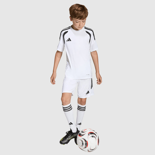 GALLERY_3