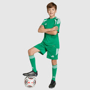 GALLERY_2