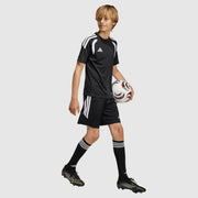GALLERY_2