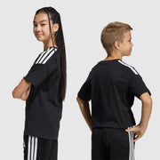 GALLERY_3