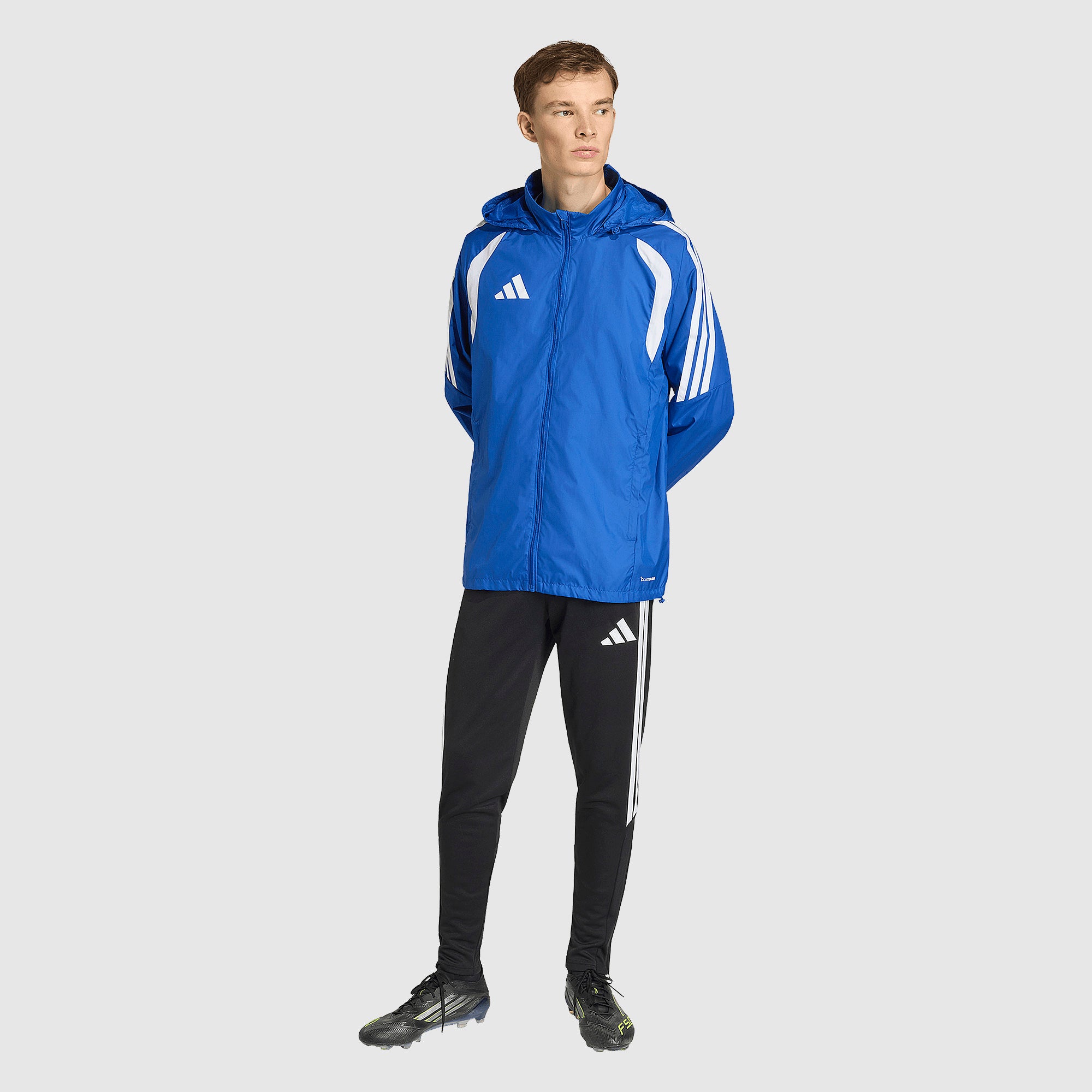 GALLERY_2