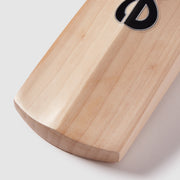 Gallery_5