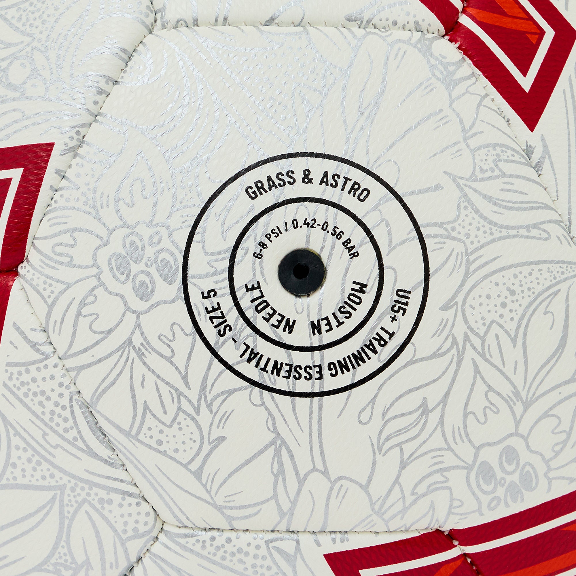 GALLERY_2