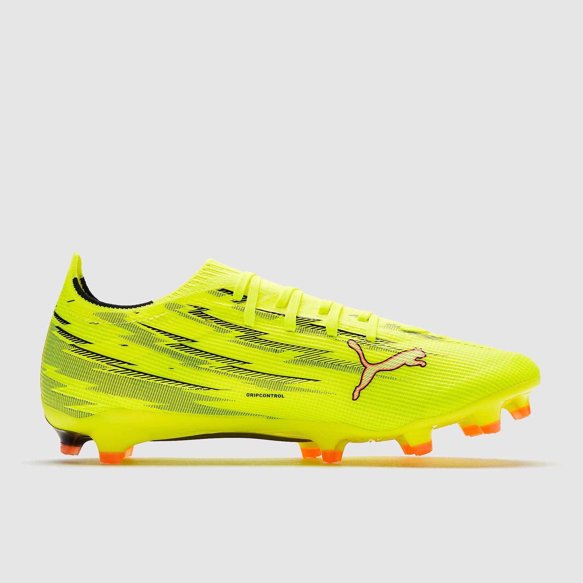 Gallery_2