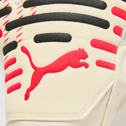GALLERY_2