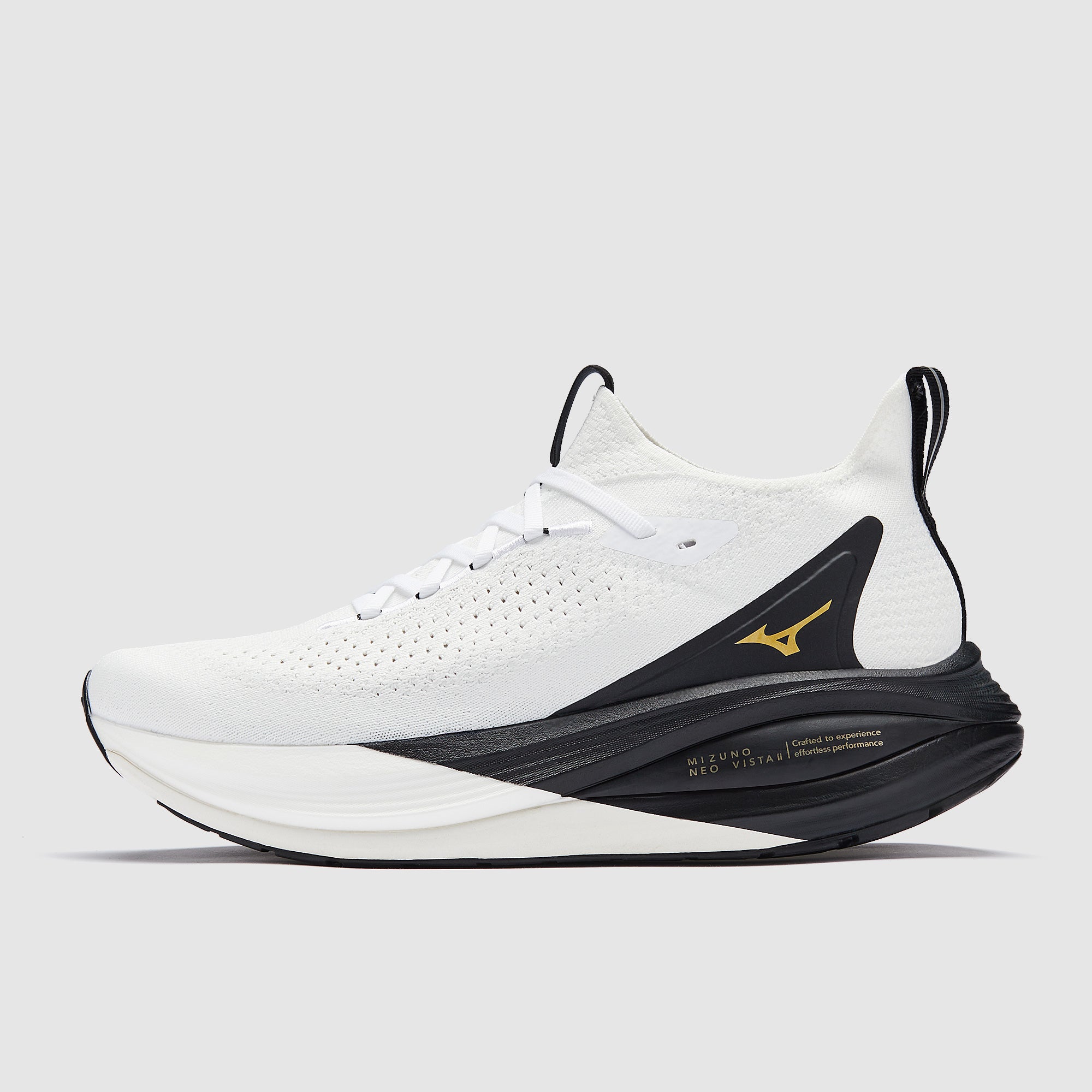GALLERY_1