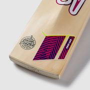 GALLERY_3