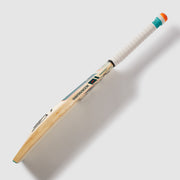 GALLERY_1