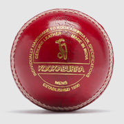 Gallery_2