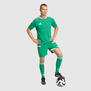 GALLERY_2