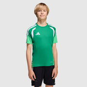 GALLERY_2