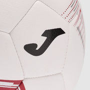GALLERY_1