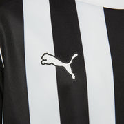 GALLERY_2