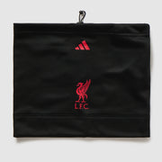 MAIN