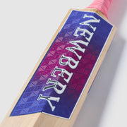 GALLERY_3