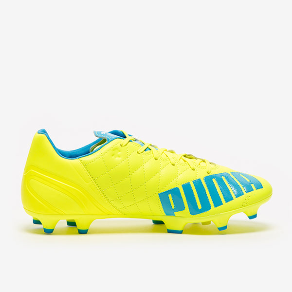 Puma evoSPEED 3.4 Leather FG