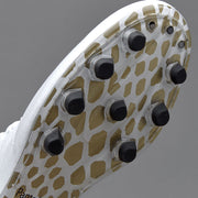 Gallery_2