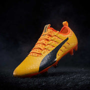 Puma evoPOWER Vigor 1 FG