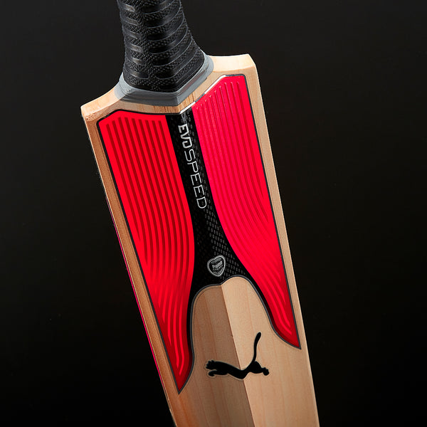 Gallery_5