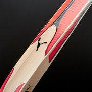 Gallery_6