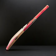 Gallery_1